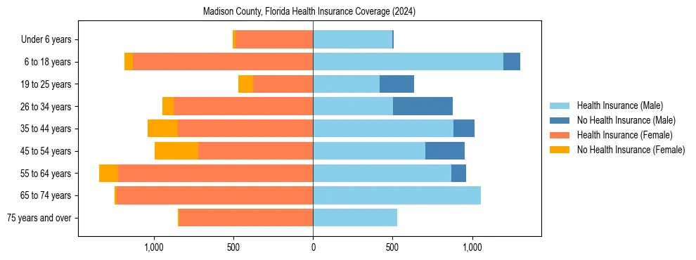 Health insurance pyramid for Madison County, Florida