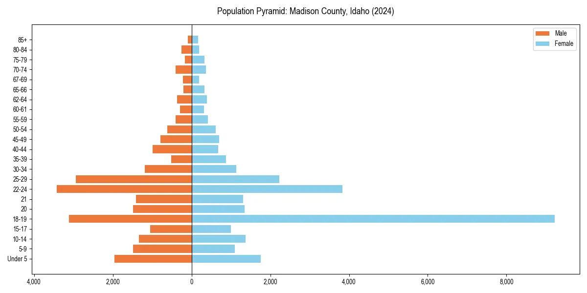 Population pyramid for 