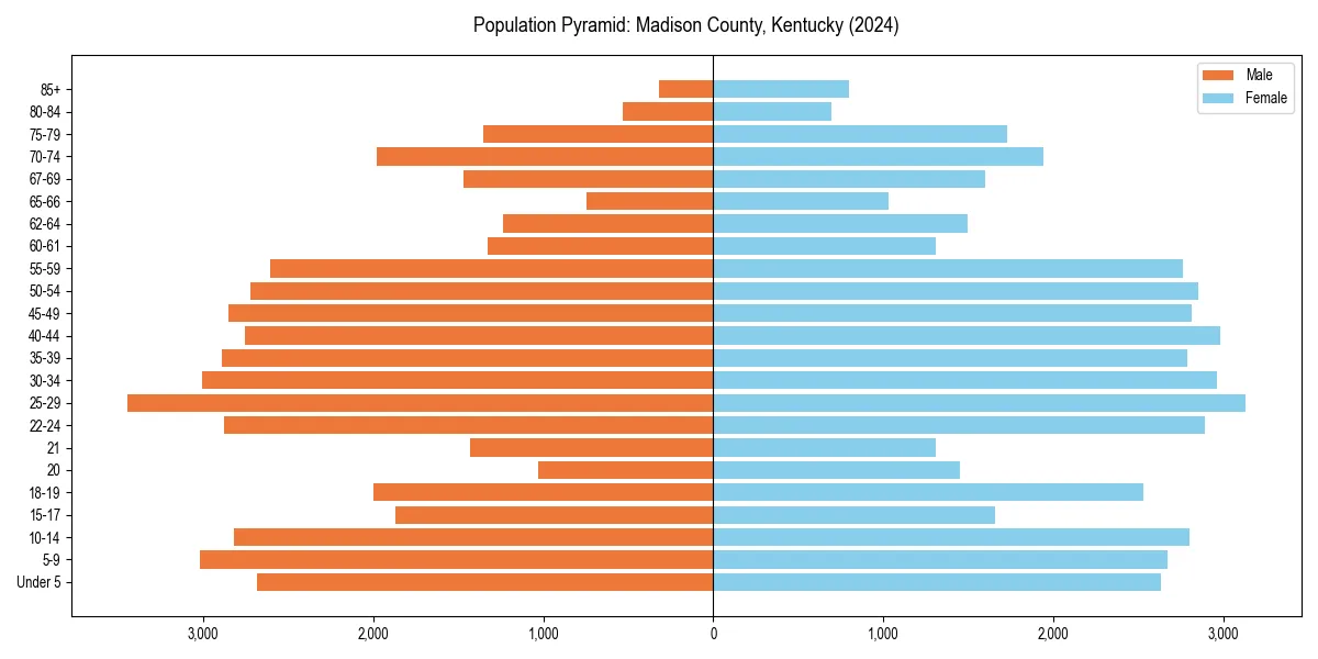 Population pyramid for 