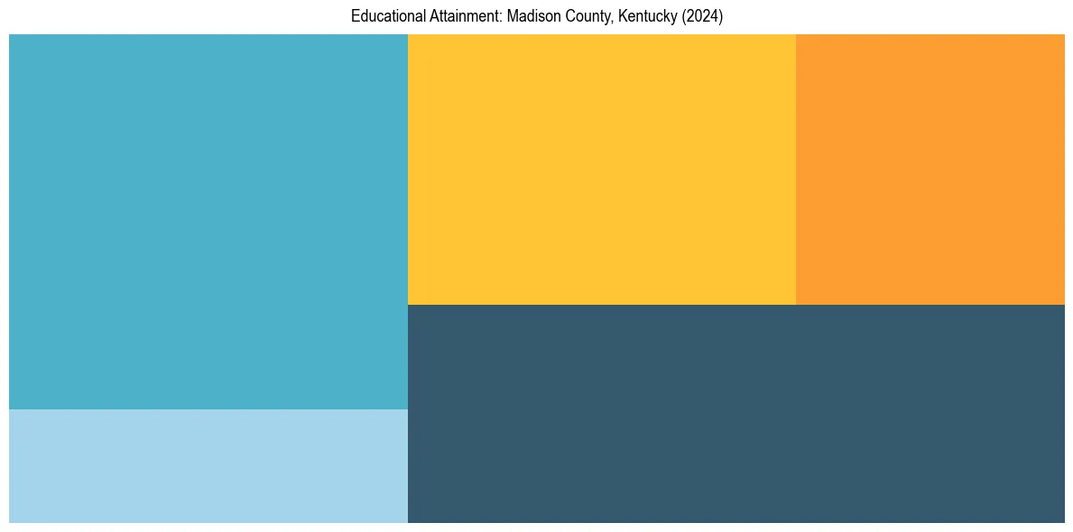 Education Treemap for  in 2024