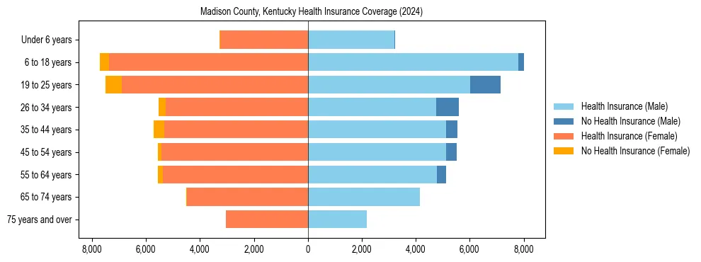 Health insurance pyramid for Madison County, Kentucky