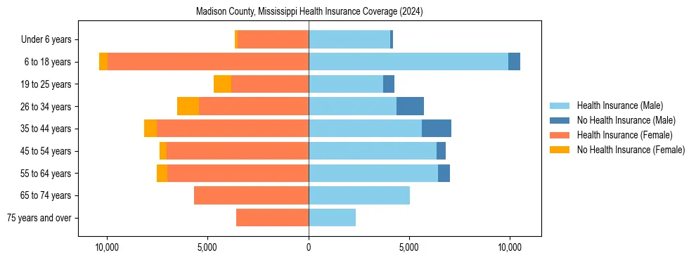 Health insurance pyramid for Madison County, Mississippi