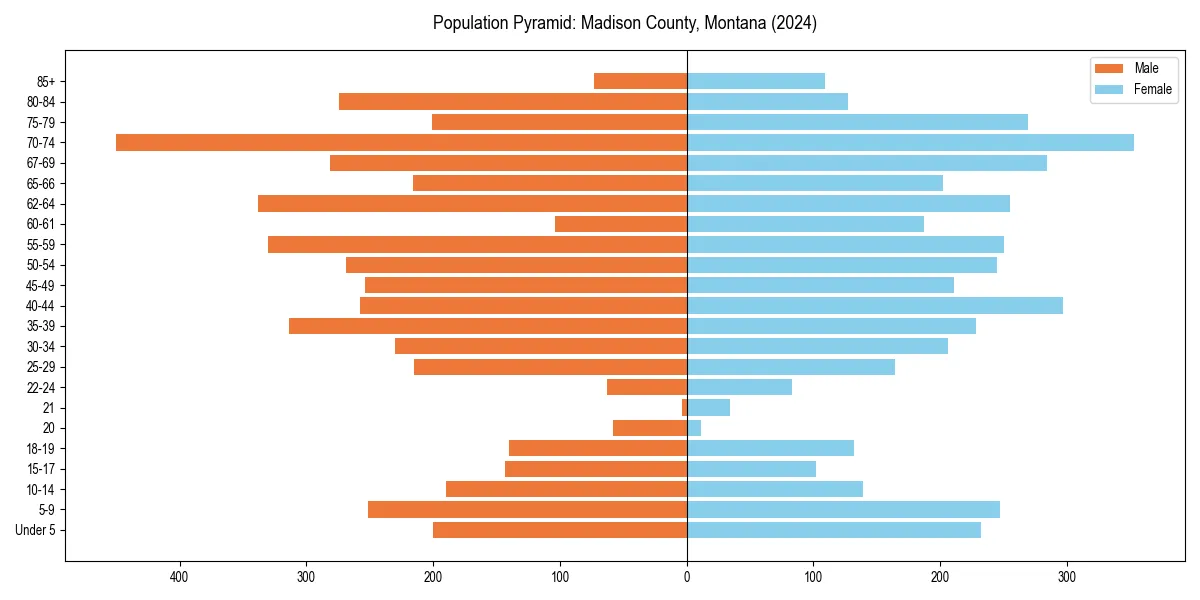 Population pyramid for 