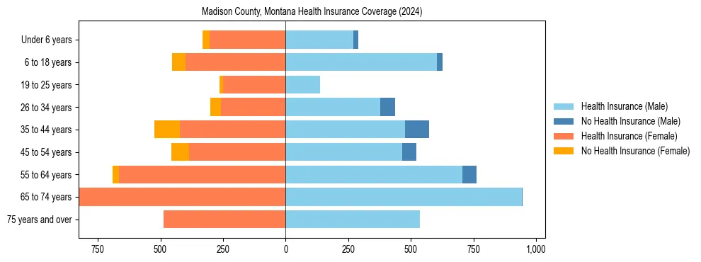 Health insurance pyramid for Madison County, Montana