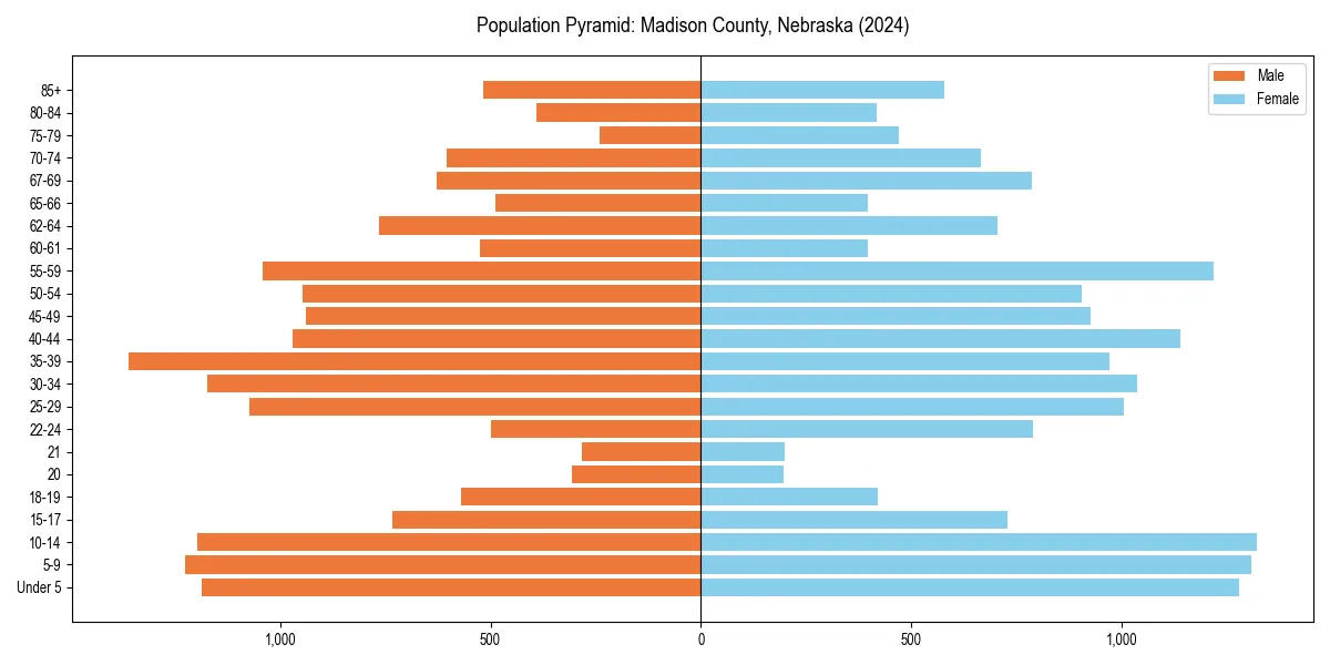 Population pyramid for 