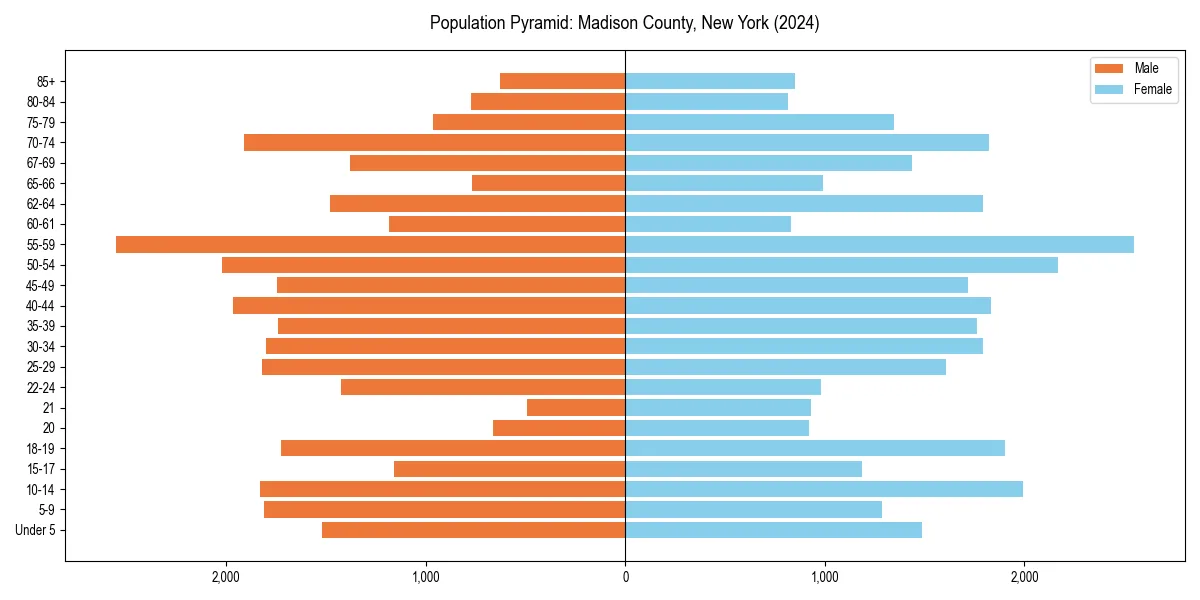 Population pyramid for 