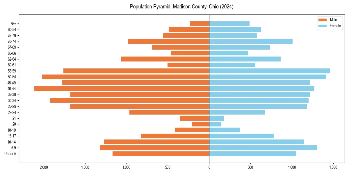Population pyramid for 