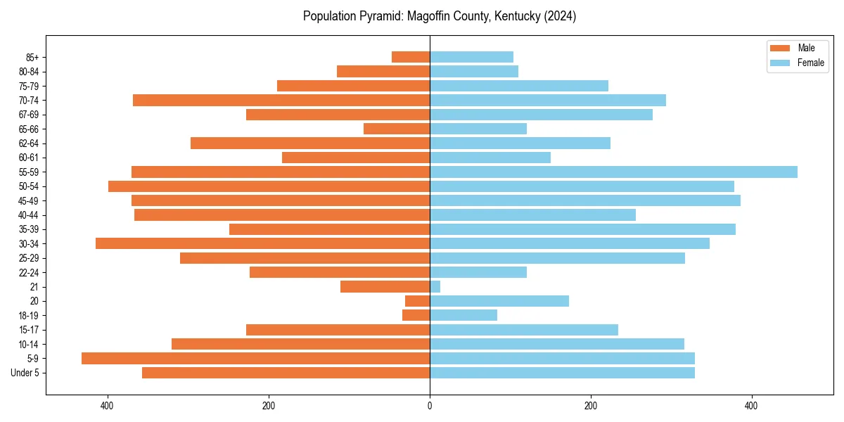 Population pyramid for 
