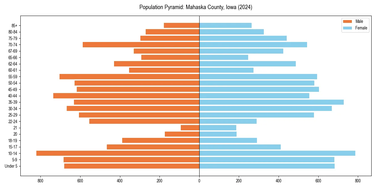 Population pyramid for 