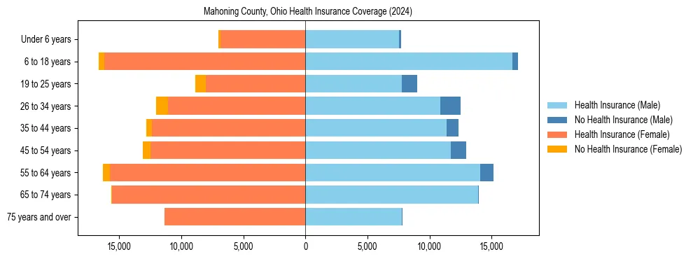 Health insurance pyramid for Mahoning County, Ohio