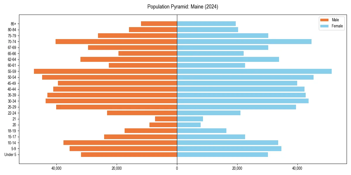 Population pyramid for 
