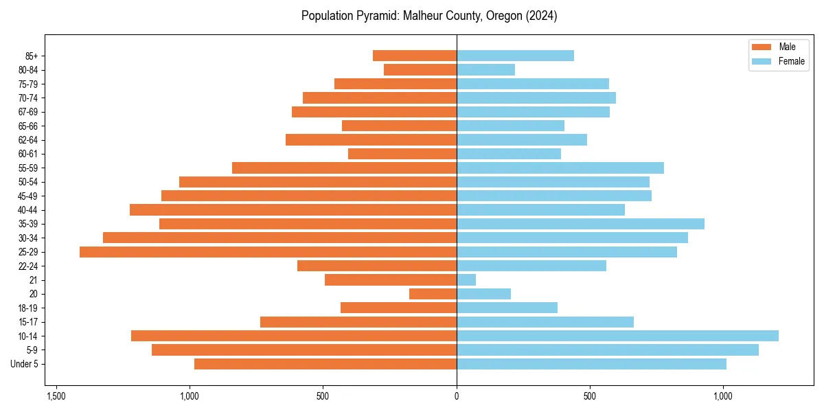 Population pyramid for 