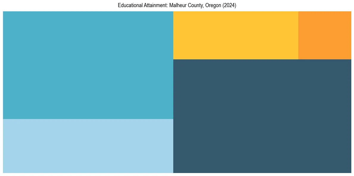 Education Treemap for  in 2024