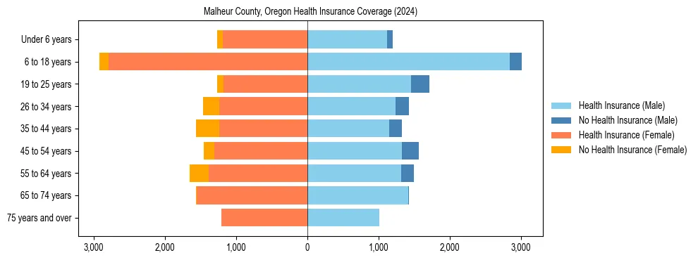 Health insurance pyramid for Malheur County, Oregon