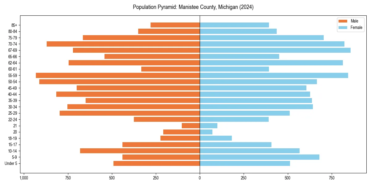 Population pyramid for 