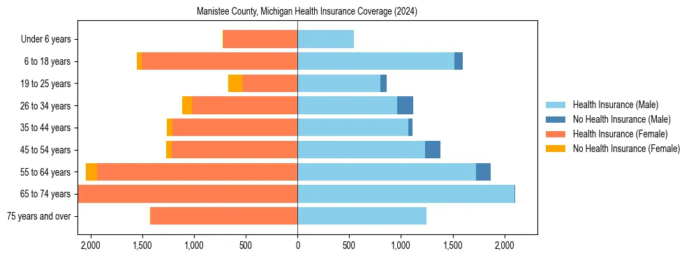 Health insurance pyramid for Manistee County, Michigan