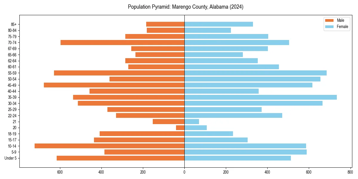 Population pyramid for 