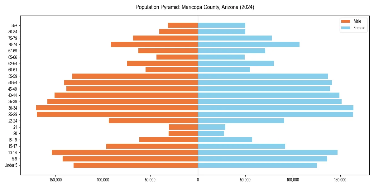 Population pyramid for 