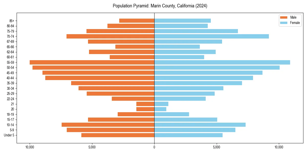 Population pyramid for 