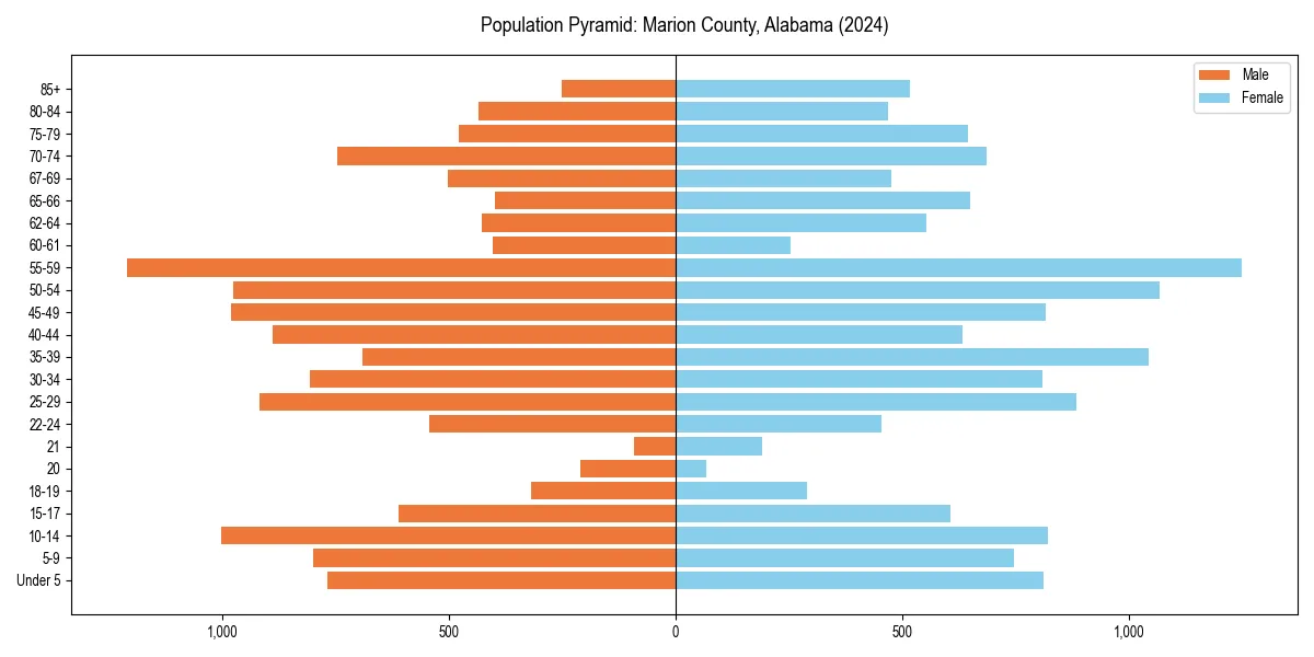 Population pyramid for 