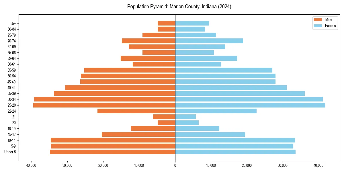 Population pyramid for 