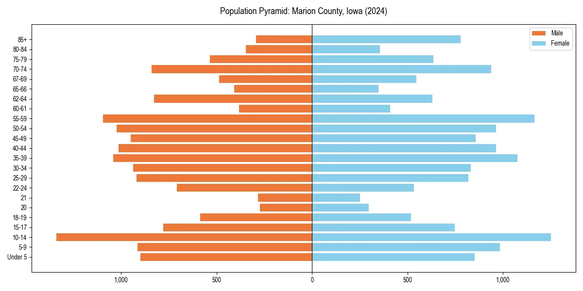 Population pyramid for 