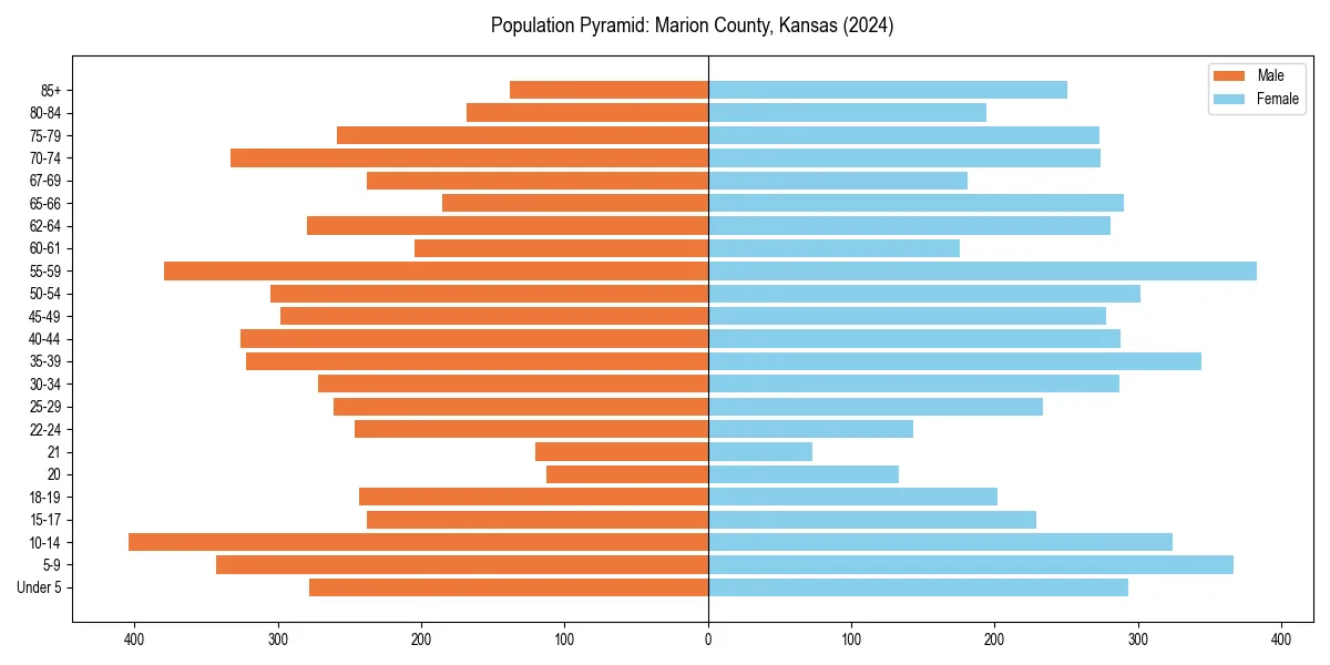 Population pyramid for 