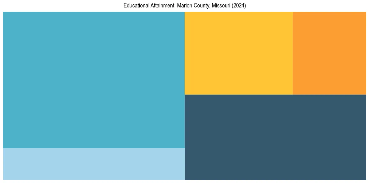 Education Treemap for  in 2024