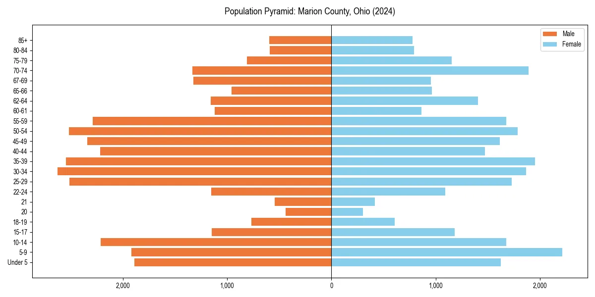 Population pyramid for 