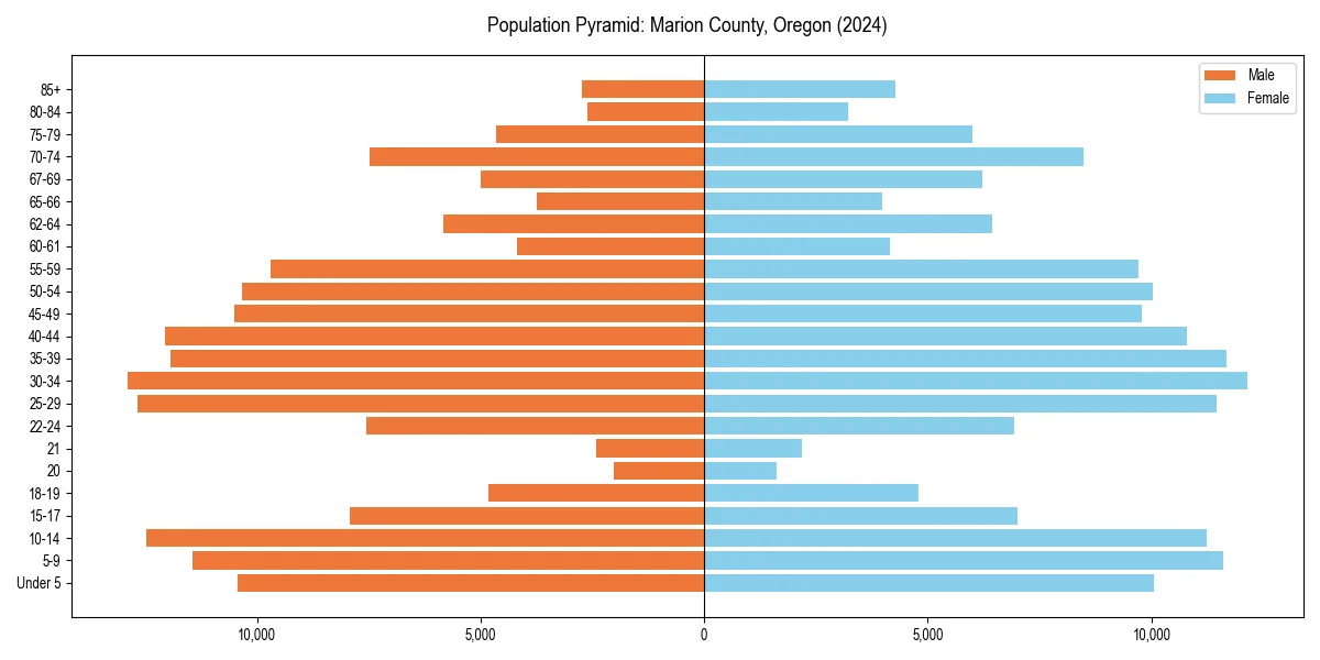Population pyramid for 