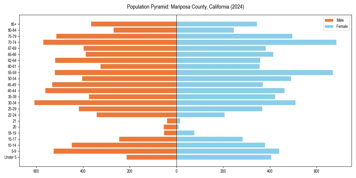 Population pyramid for 