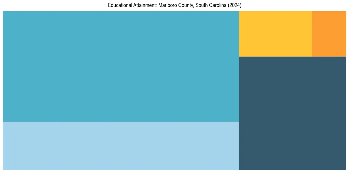 Education Treemap for  in 2024