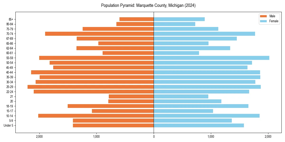 Population pyramid for 