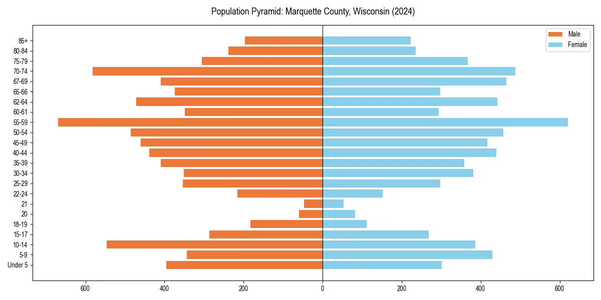 Population pyramid for 