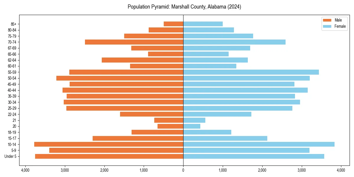 Population pyramid for 