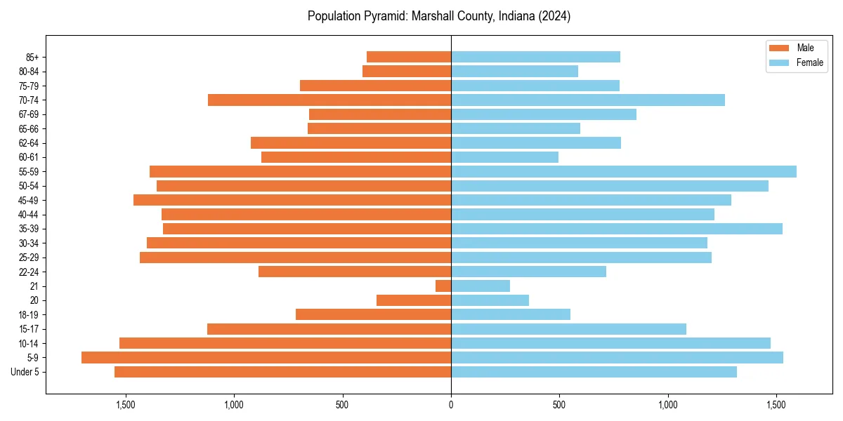 Population pyramid for 