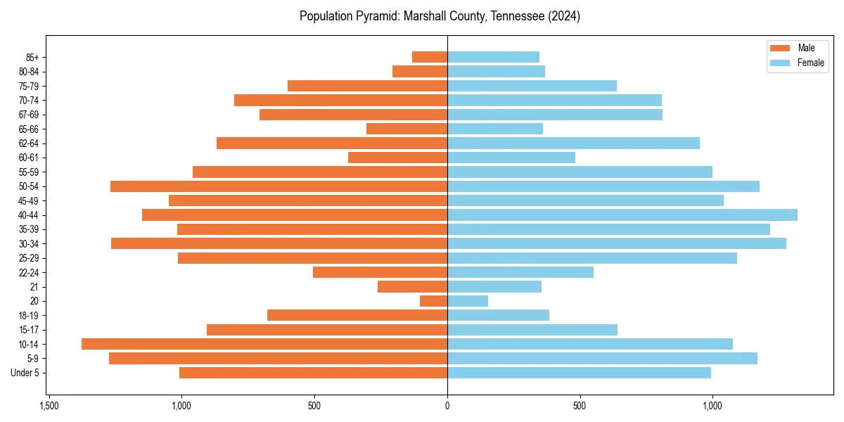 Population pyramid for 