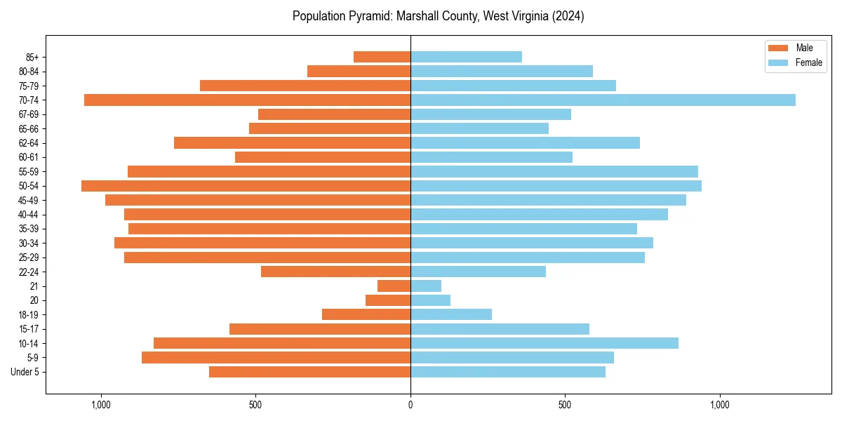 Population pyramid for 