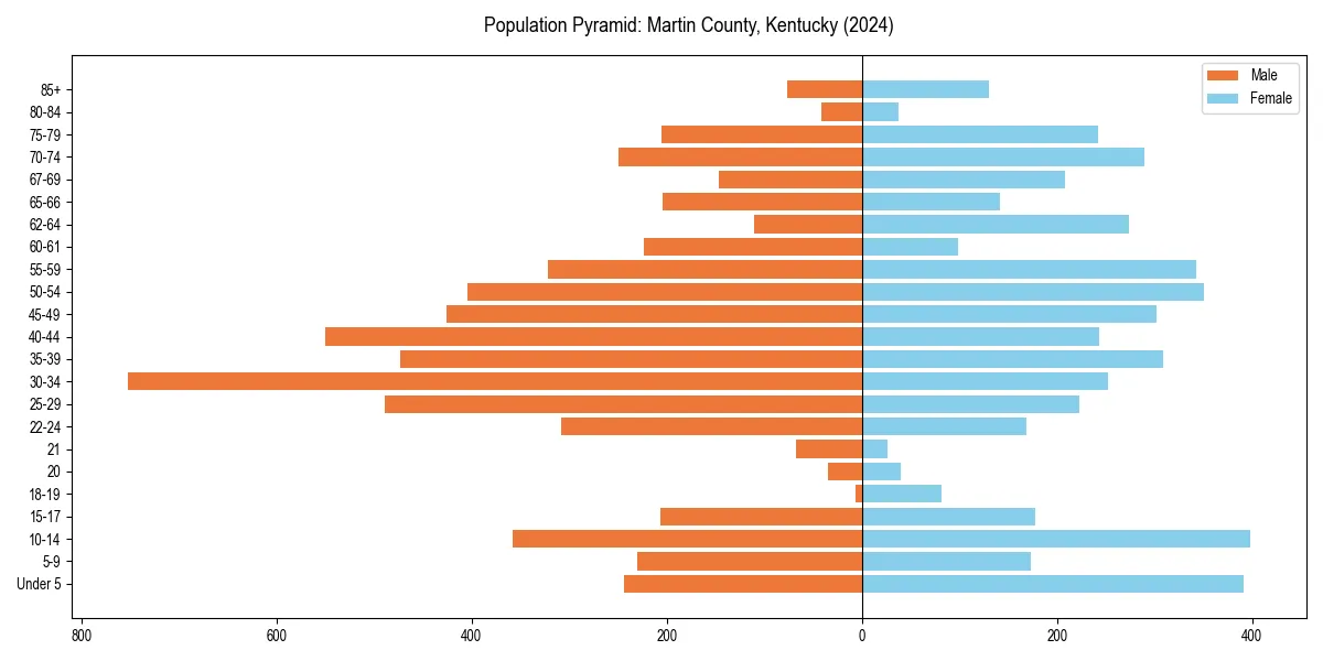 Population pyramid for 