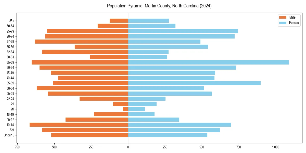 Population pyramid for 