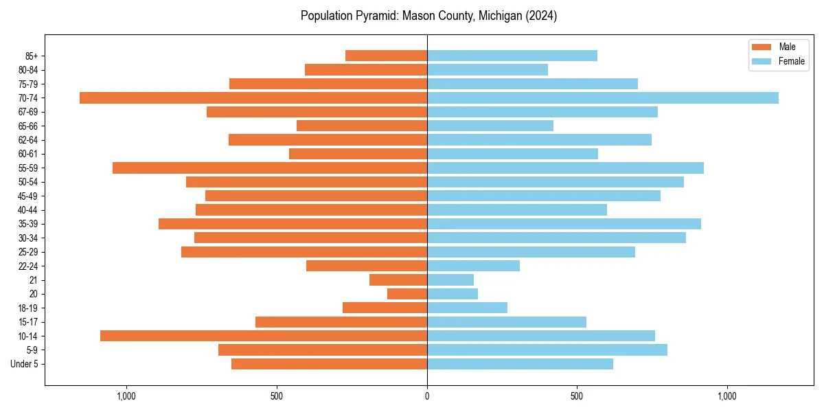 Population pyramid for 