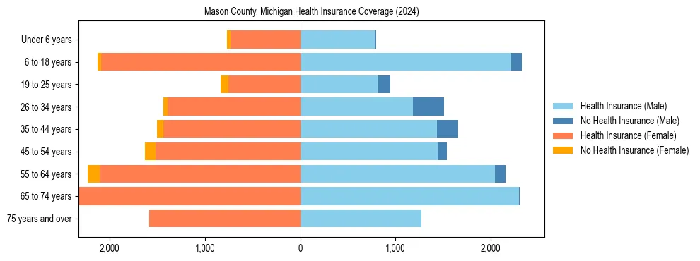 Health insurance pyramid for Mason County, Michigan