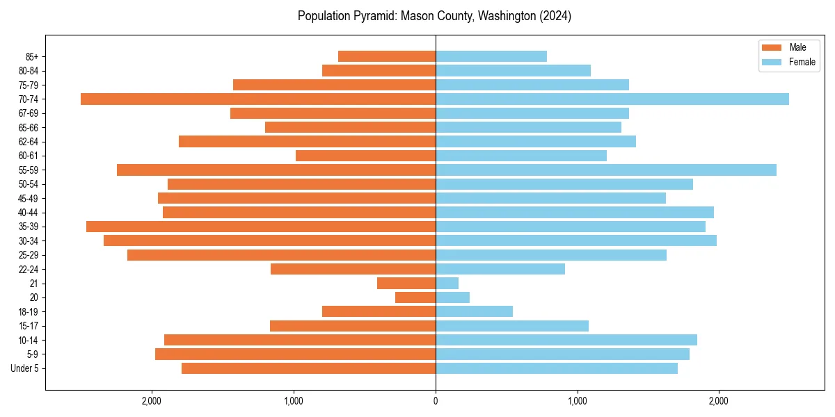Population pyramid for 