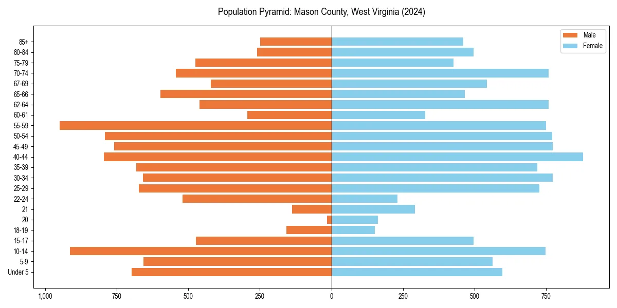 Population pyramid for 