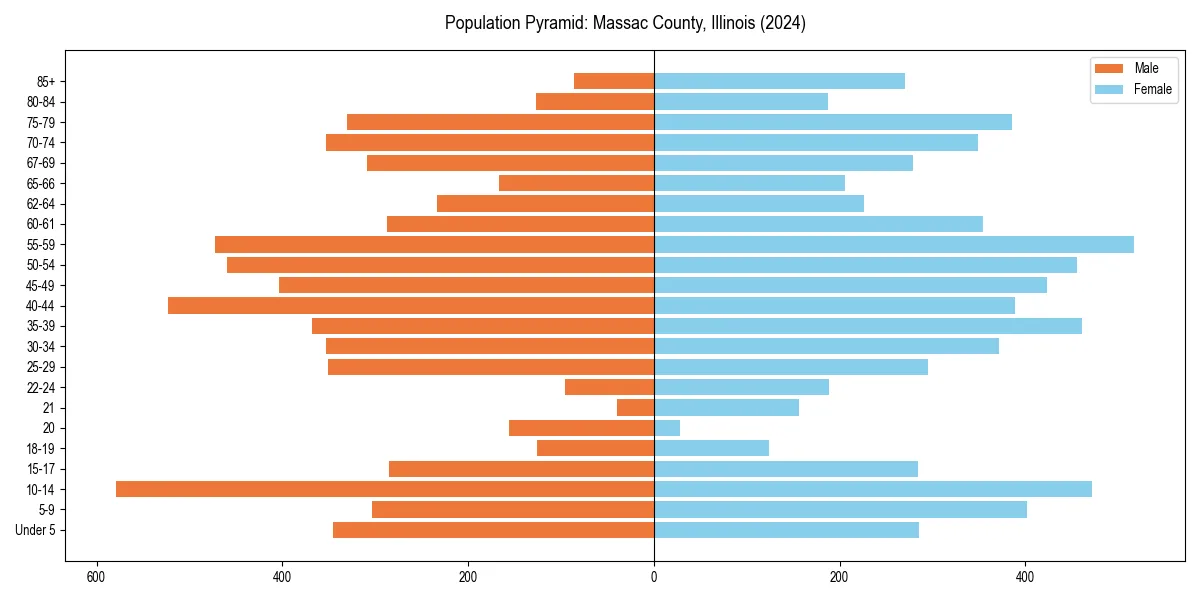 Population pyramid for 