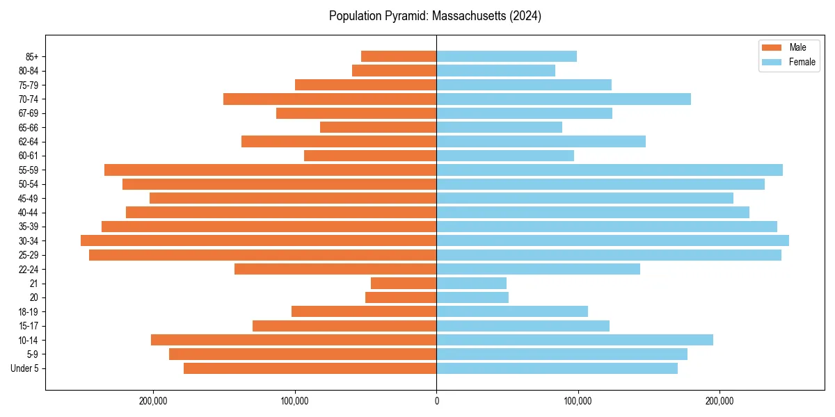 Population pyramid for 