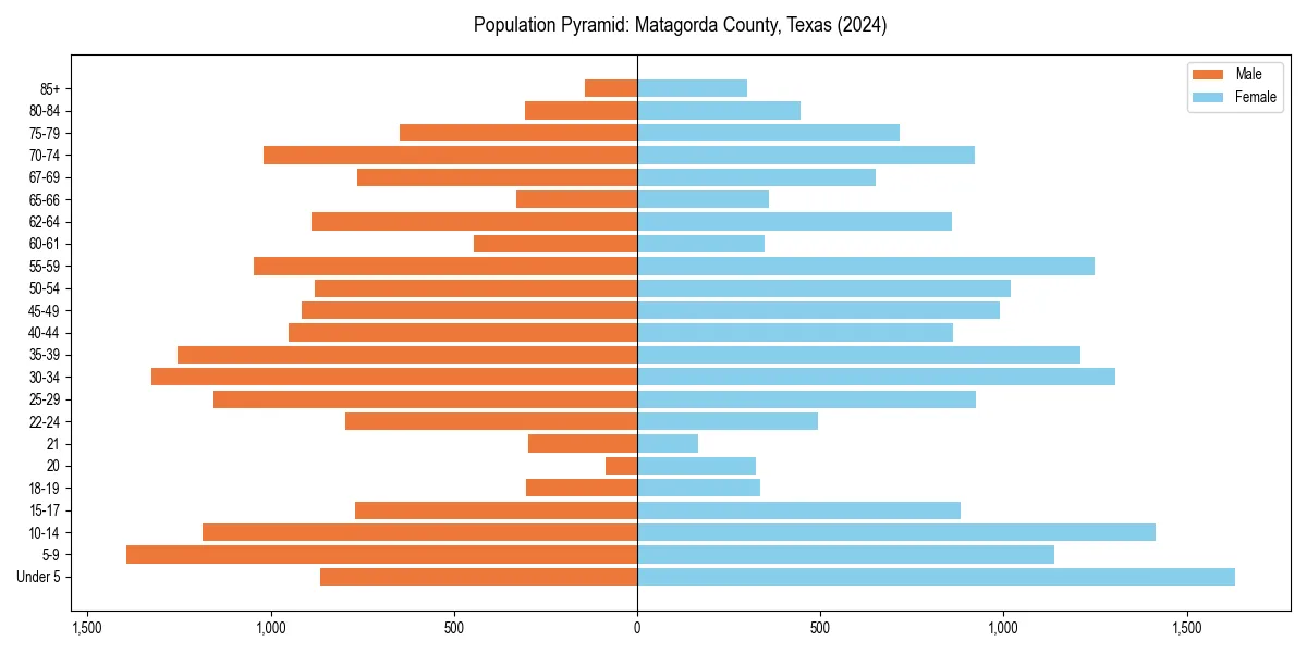 Population pyramid for 