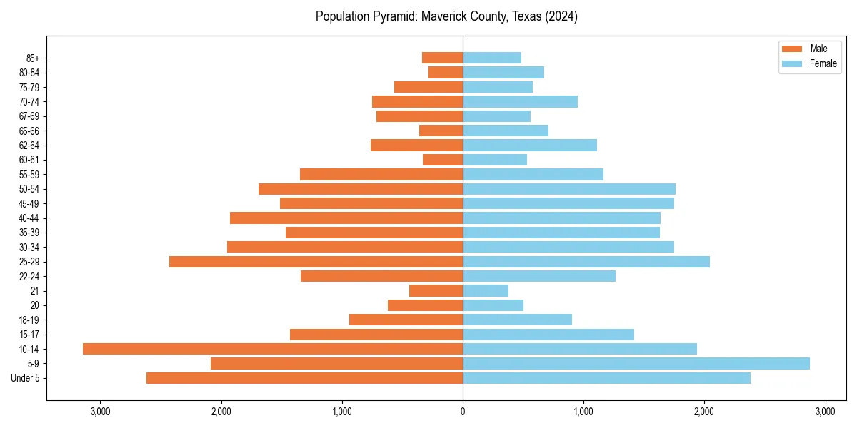 Population pyramid for 
