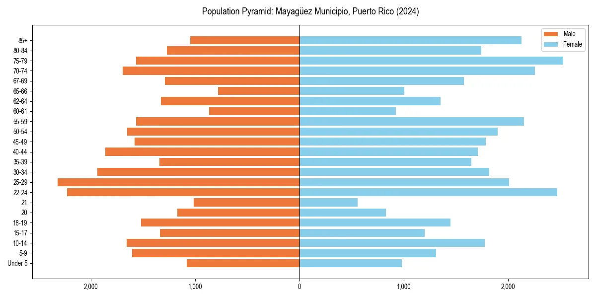 Population pyramid for 