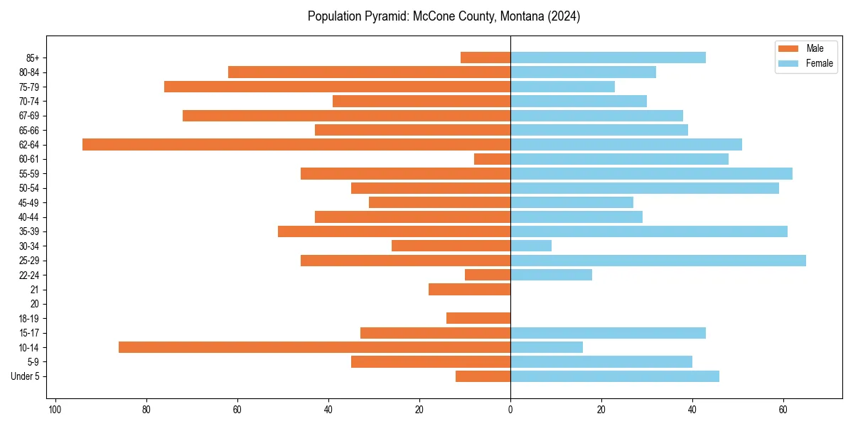 Population pyramid for 